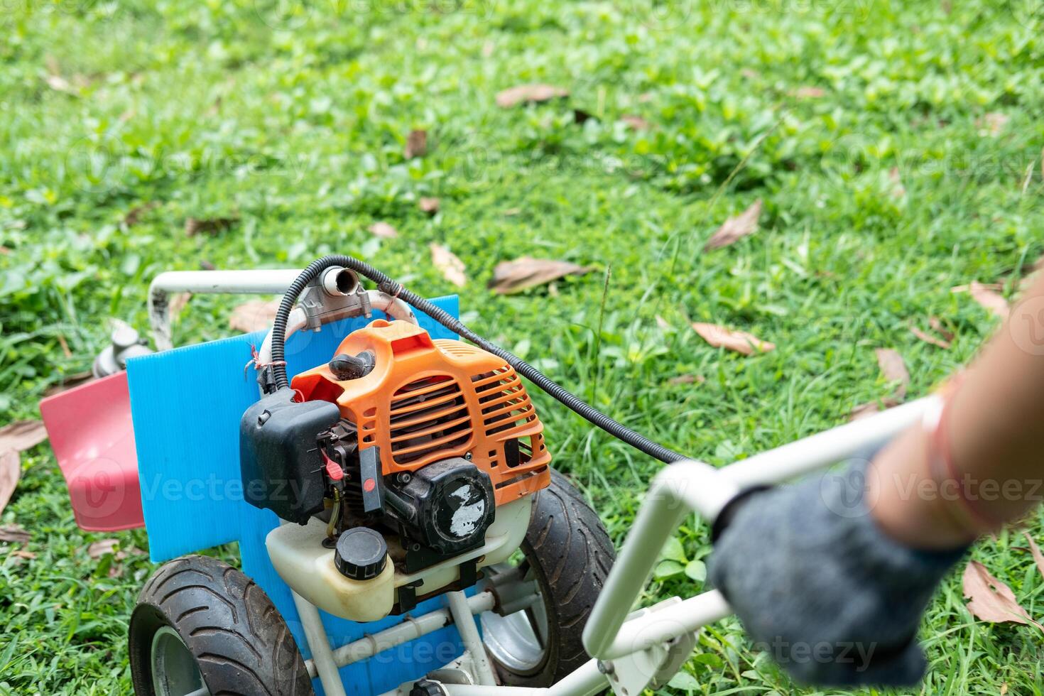 Man mowing fresh green grass with modern lawn mower, enjoying sunny outdoor work. photo