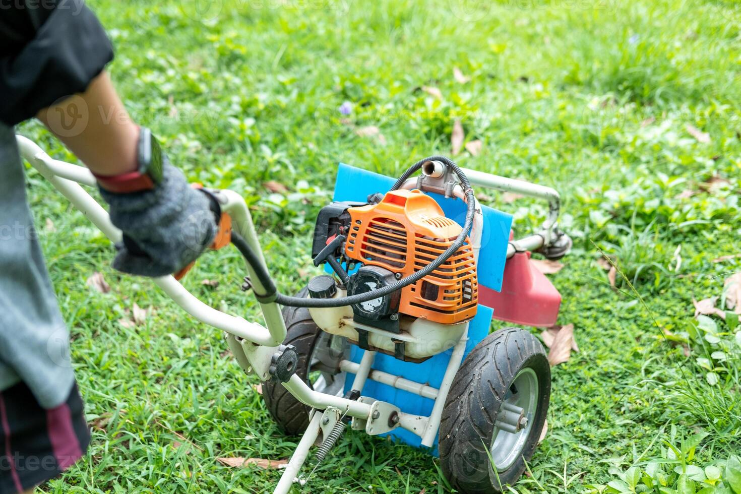 Gardener mowing a lush green lawn with a modern mower on a bright sunny day outdoors. photo