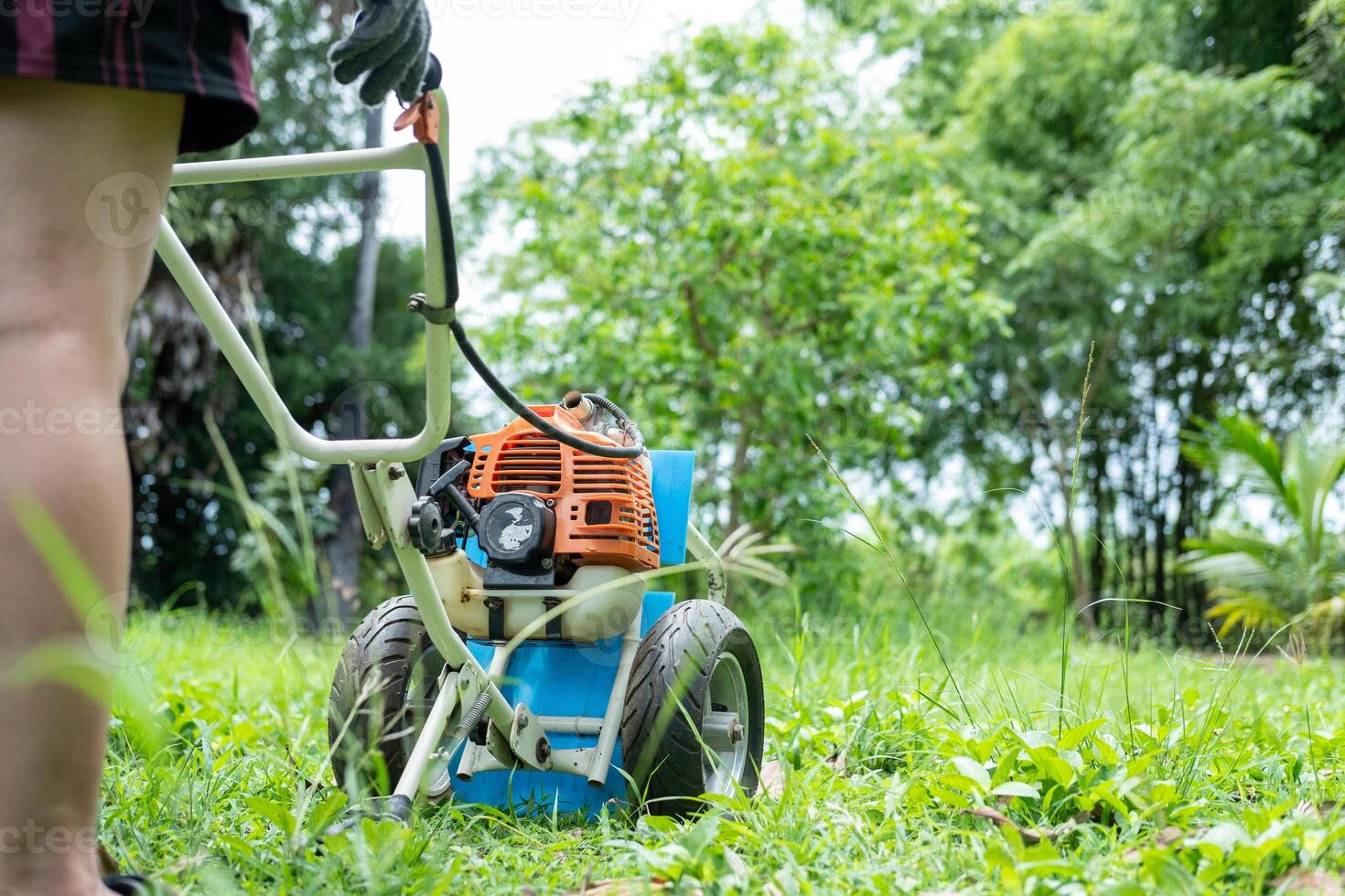 Gardener maintaining a healthy green lawn with a sleek mower under clear sunny skies. photo