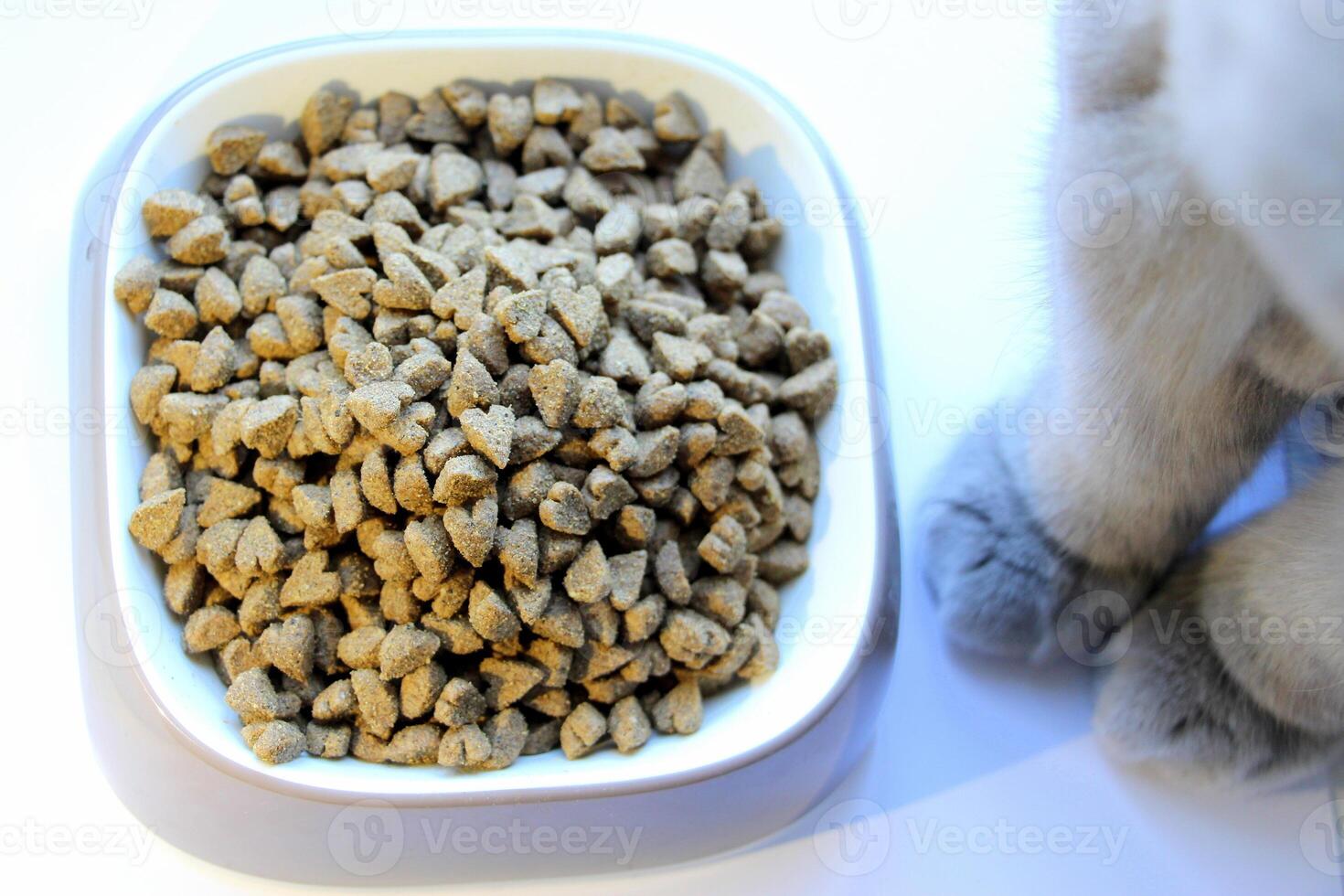 Dry food for cats or dogs in the form of small heart-shaped granules. photo