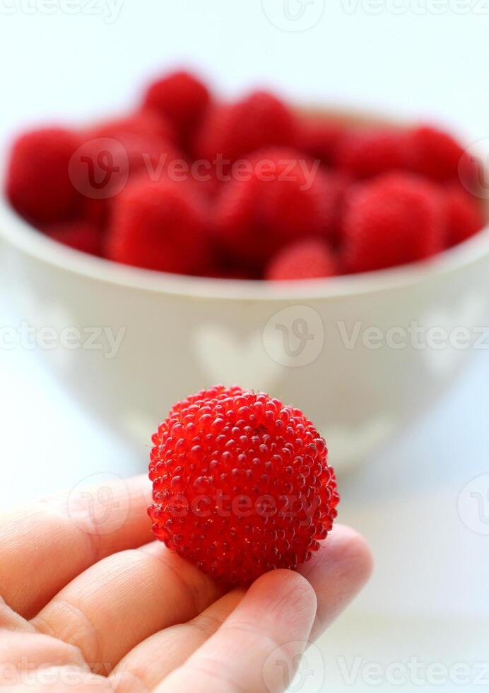 Harvest of seasonal Raspberry-strawberry or Tibetan raspberry photo