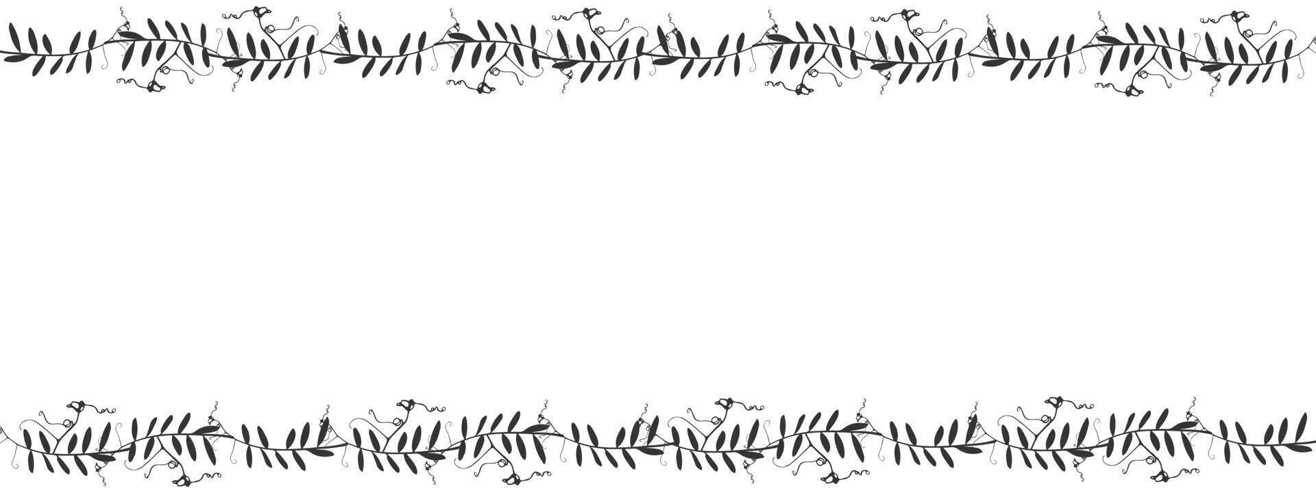 Botanical banner with frame of climbing plants Mouse Pea, empty background for insertion. Black and white. vector