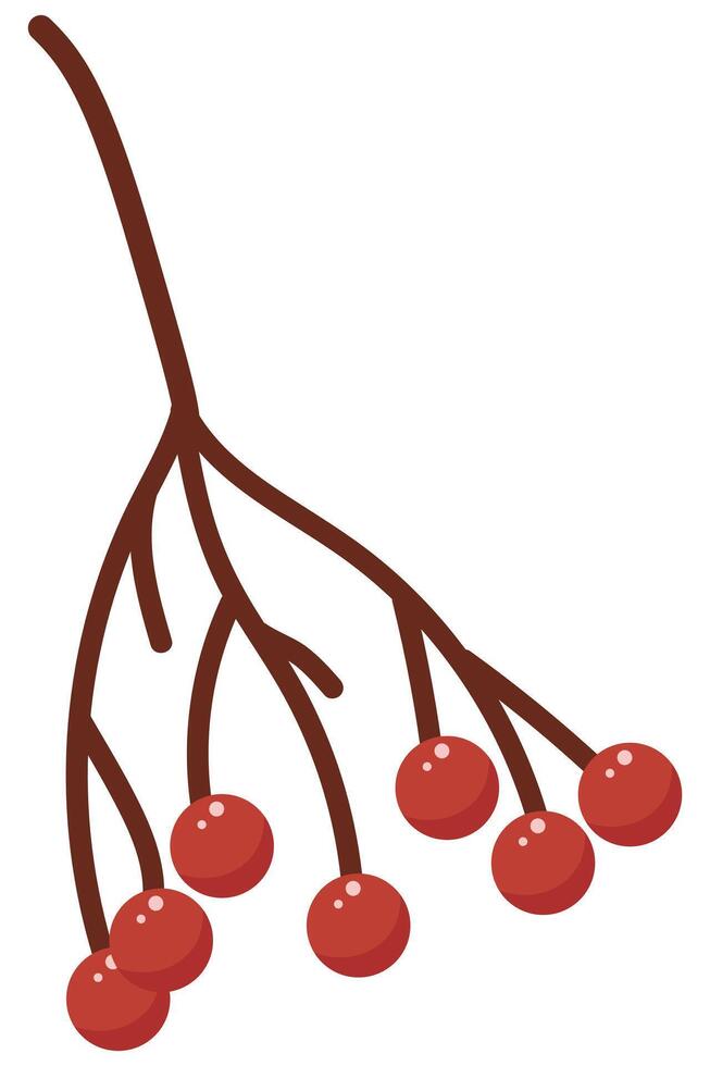 Red Viburnum Berries Branch. Autumnal Kalyna Sprig. Berry Branch for Seasonal Themes vector