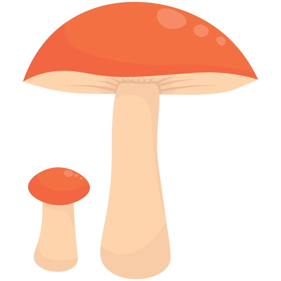 Cartoon Toadstool Mushroom. Simple Decorative Fungi Flat Design vector