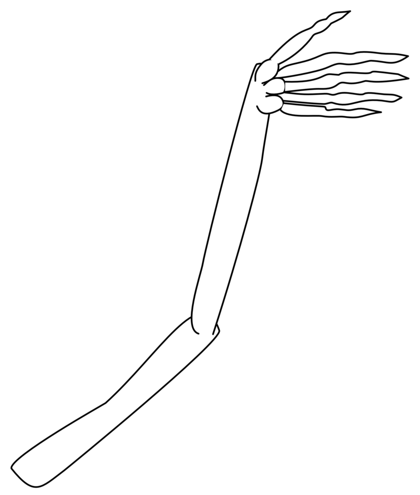 cute Halloween cartoon arm bone png