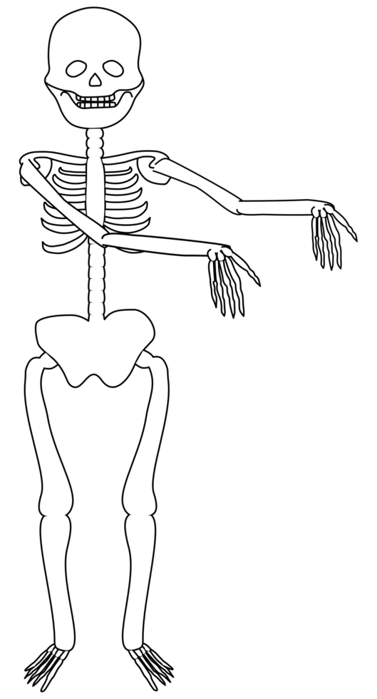 cute Halloween cartoon funny skeleton png