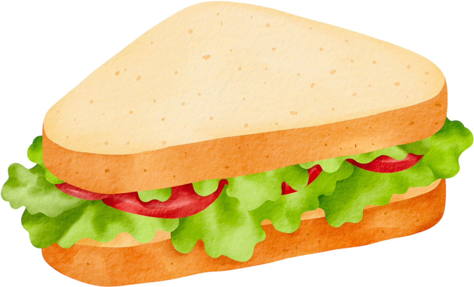 Ham Sandwich With Lettuce png