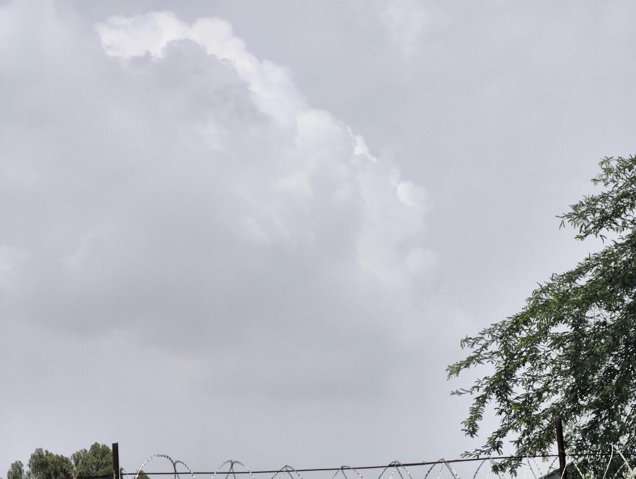 Overcast sky with barbed wire fence and tree branches nature landscape photography outdoor scene view photo