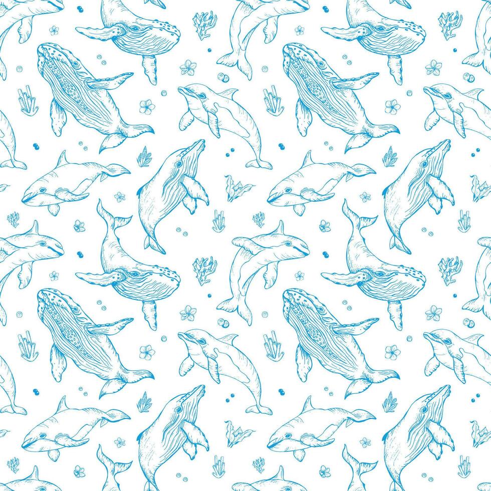 seamless pattern with whales and dolphins. Marine animals in engraving technique, freehand drawing with blue ink. White background. Can be used for wallpaper, textile, fabric vector