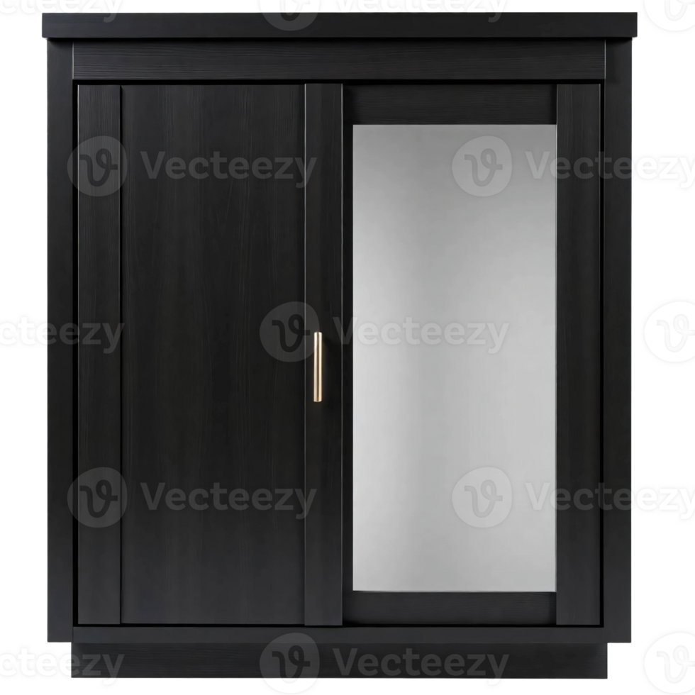 A black cabinet with two doors and a mirror png