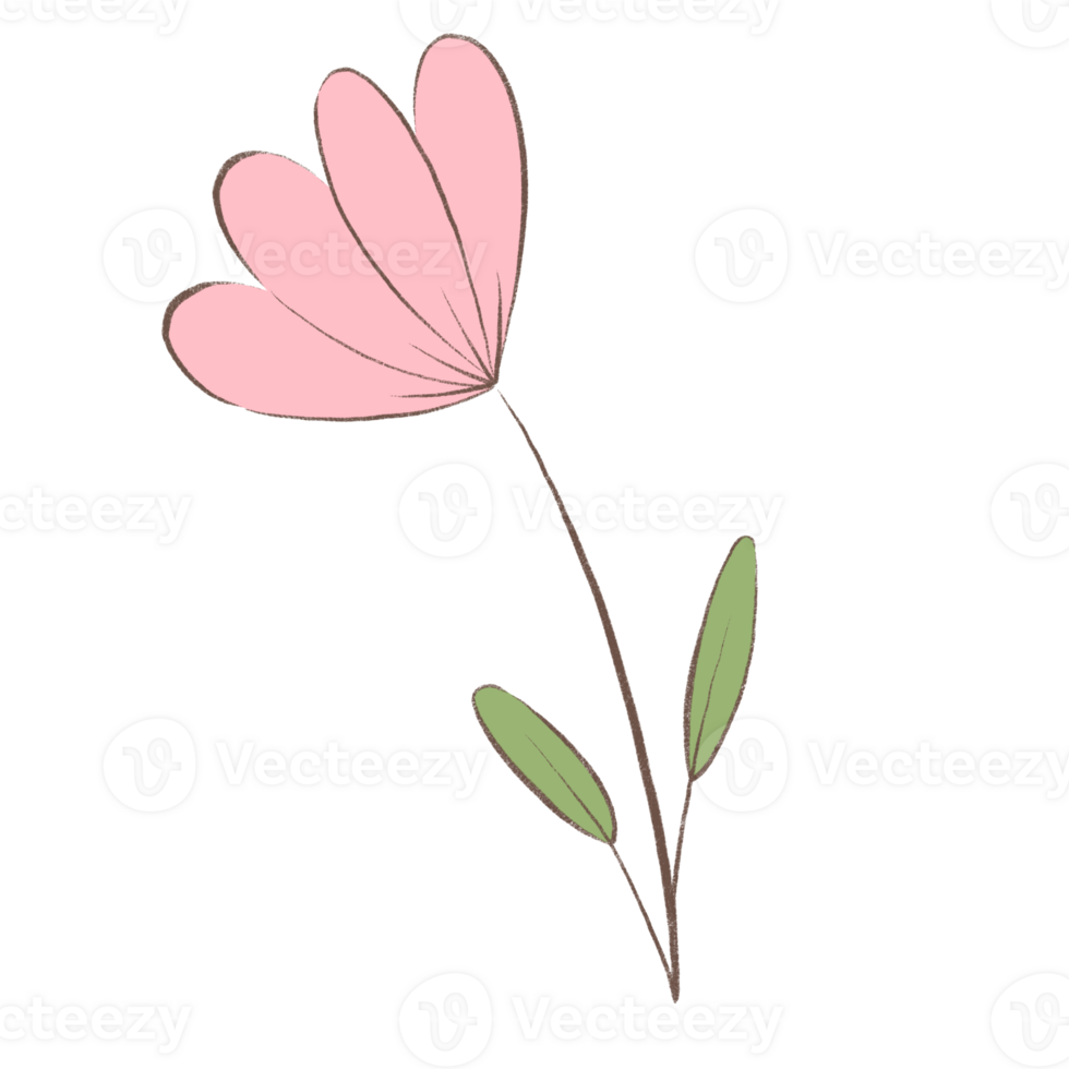 flower clipart with smiling face and playful petals in colorful flat cartoon design png