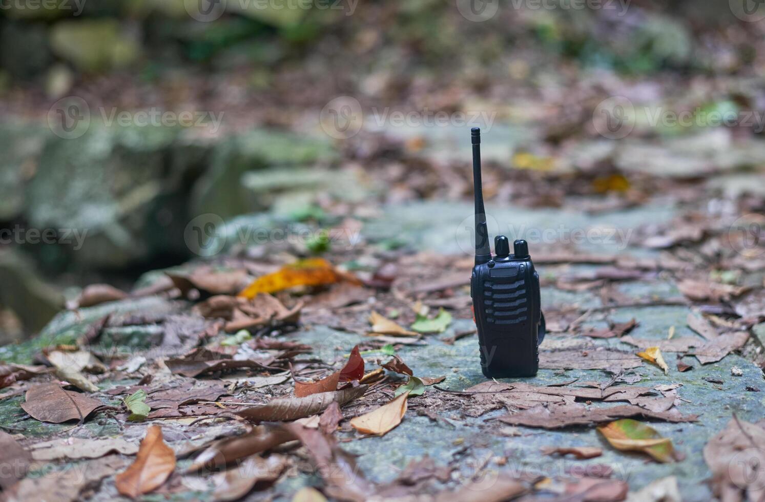 Black two-way radio on a leaf-covered forest floor photo