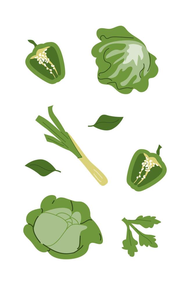 Green vegetables and herbs peppers, cabbage, leeks, and parsley on white background vector