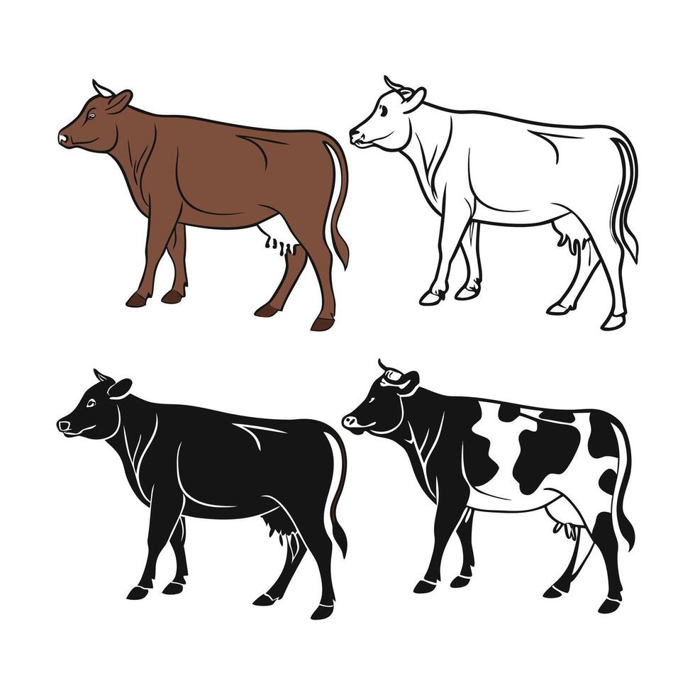 Four Dairy Cow Illustrations Depicting Different Color vector