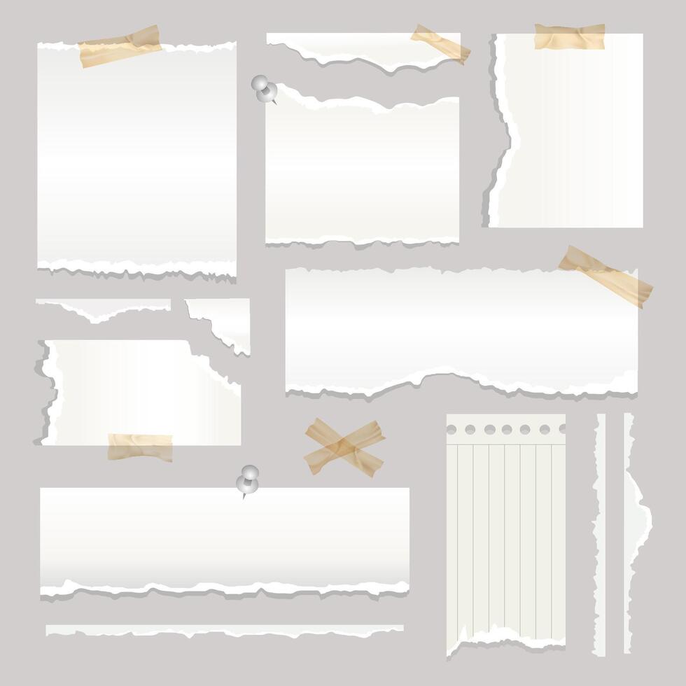 Torn paper scraps with adhesive tape vector