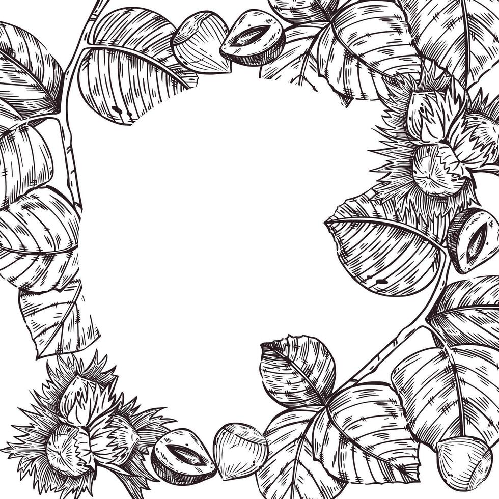 Hazelnut, hazelnut, hazelnut, tree leaf and split walnut frame. All objects are hand-drawn with ink. The illustration is suitable for printing on the packaging of goods, cosmetics, kitchen vector