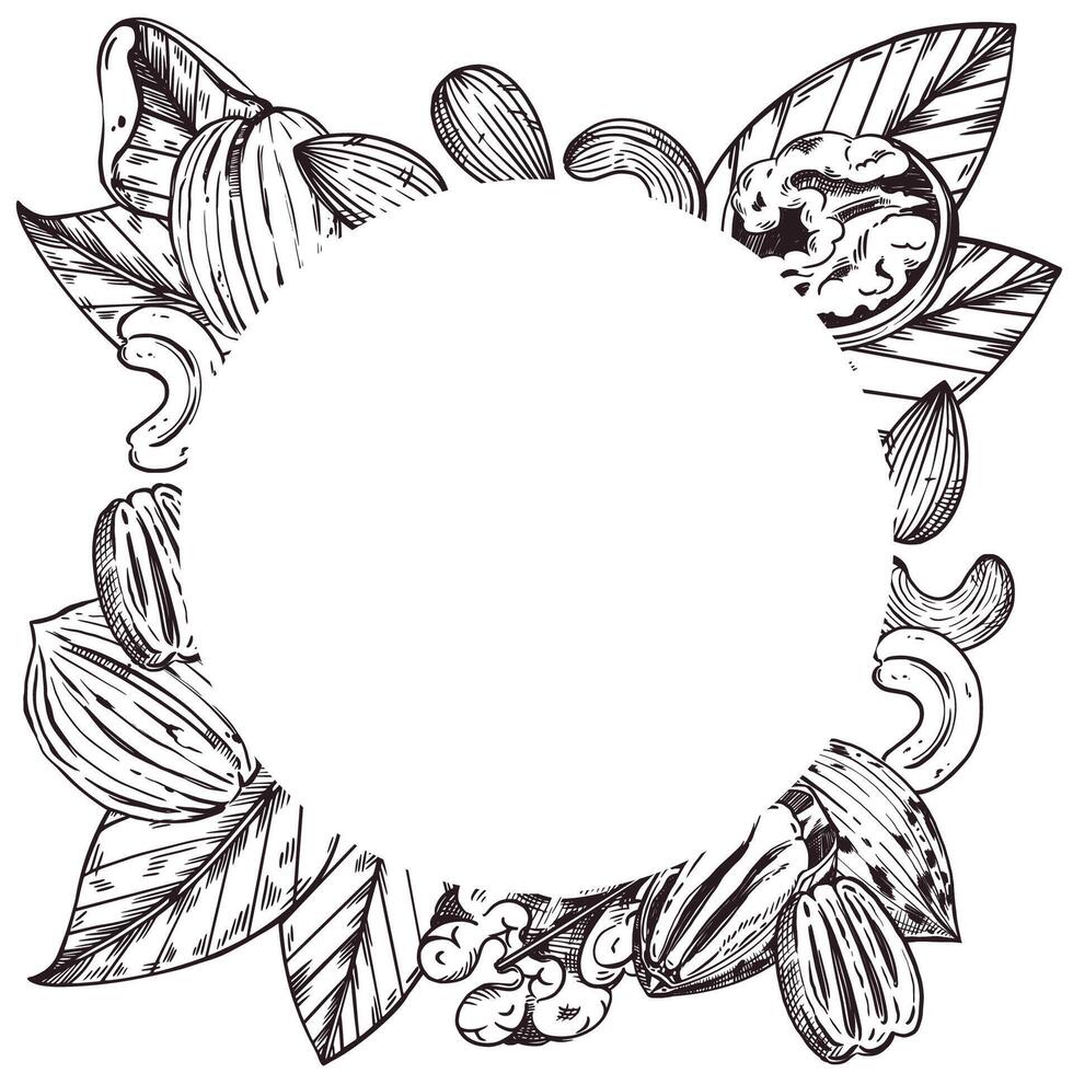 round frame of cashew nuts, almonds, walnuts, pecans, leaves. All objects are hand-drawn with ink. The illustration is suitable for printing on fabric, paper, tableware and kitchen textiles vector