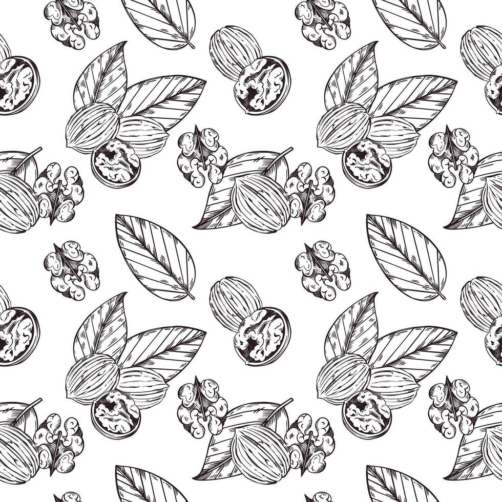 Seamless pattern of walnut, walnut leaves, peeled walnut. All objects are hand-drawn with ink. Illustration suitable for printing on wrapping paper, product packaging. illustration vector