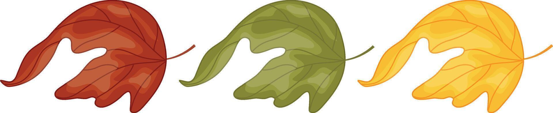 set of icons of colored leaves from deciduous trees, namely from maple trees, for autumn textiles, packaging or postcards vector