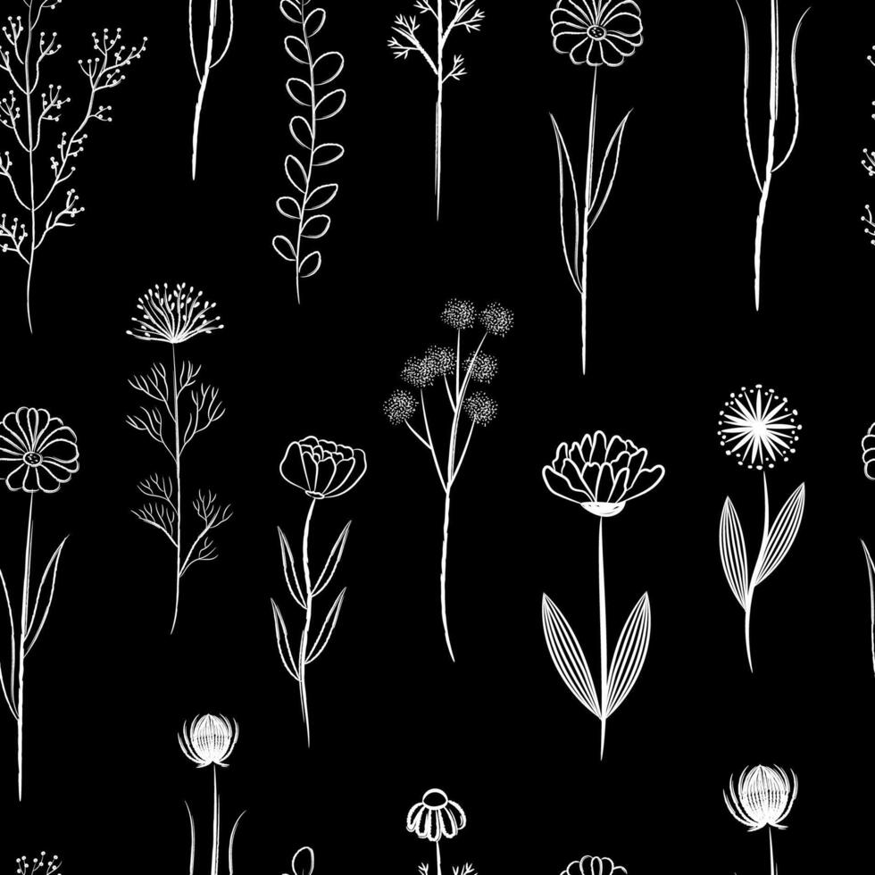 Wild field flowers and herbs seamless pattern. Doodle brush style on black background. Hand drawn white chalk elements set. vector