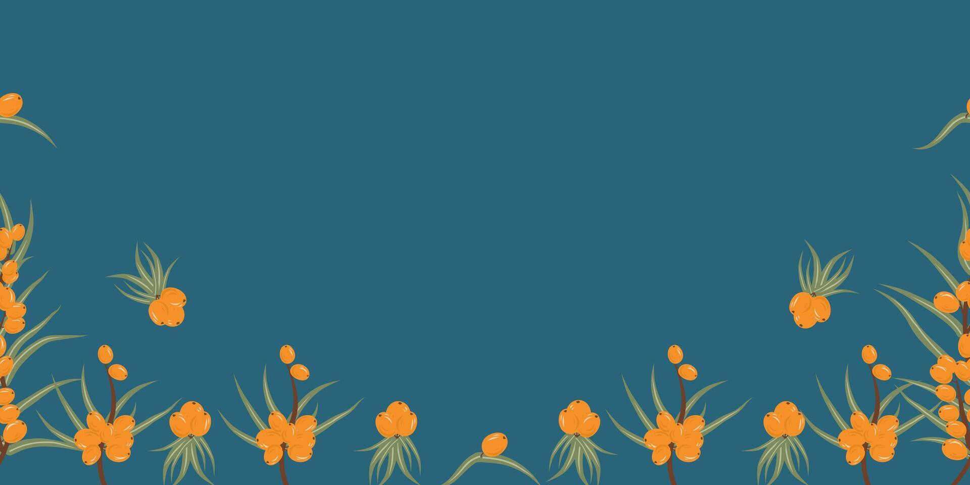 Seamless autumn border with sea buckthorn. Collection of decorative elements of botanical design. Vintage illustration. dark blue background vector