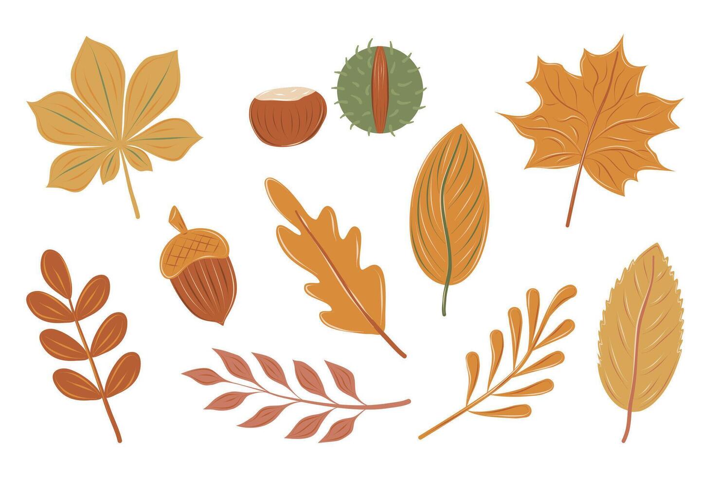 Autumn set of fall leaves from different trees oak, maple, chestnut. Simple, yellow, red, orange fall leaf set for pattern, banner, sticker, Hello autumn card. vector