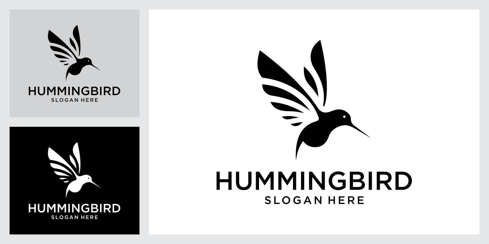 Hummingbird logo design. Bird logo design concepy vector