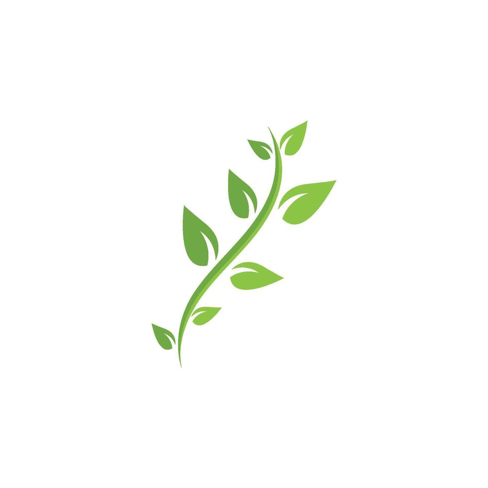 green leaf logo vector