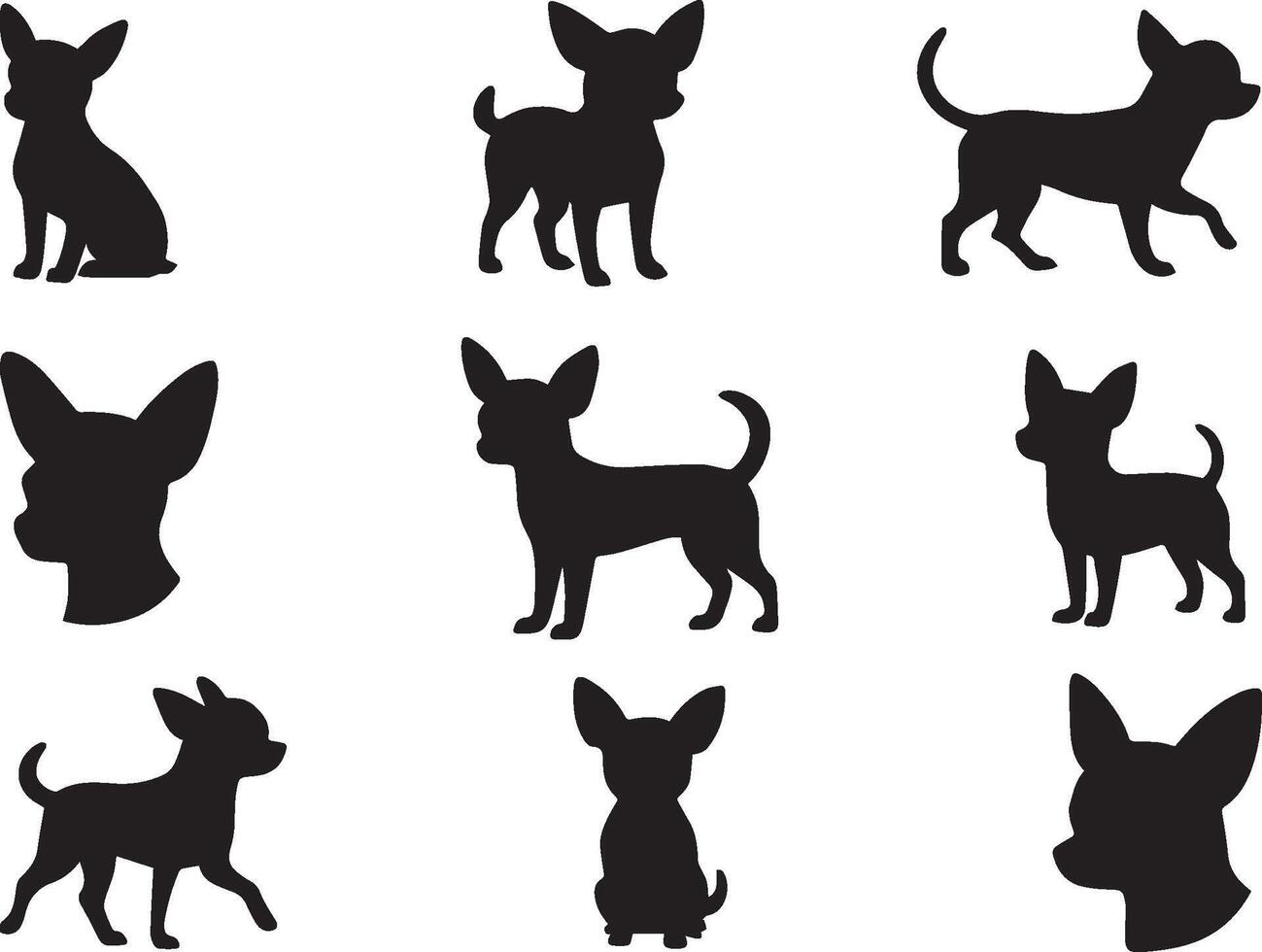 Set Of Chihuahua Silhouette Collection Poses and Outlines vector