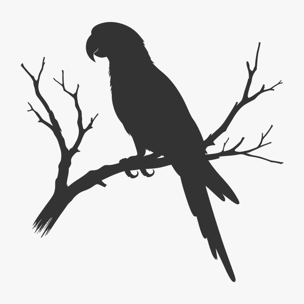 Parrot sitting on a tree branch silhouette illustration vector