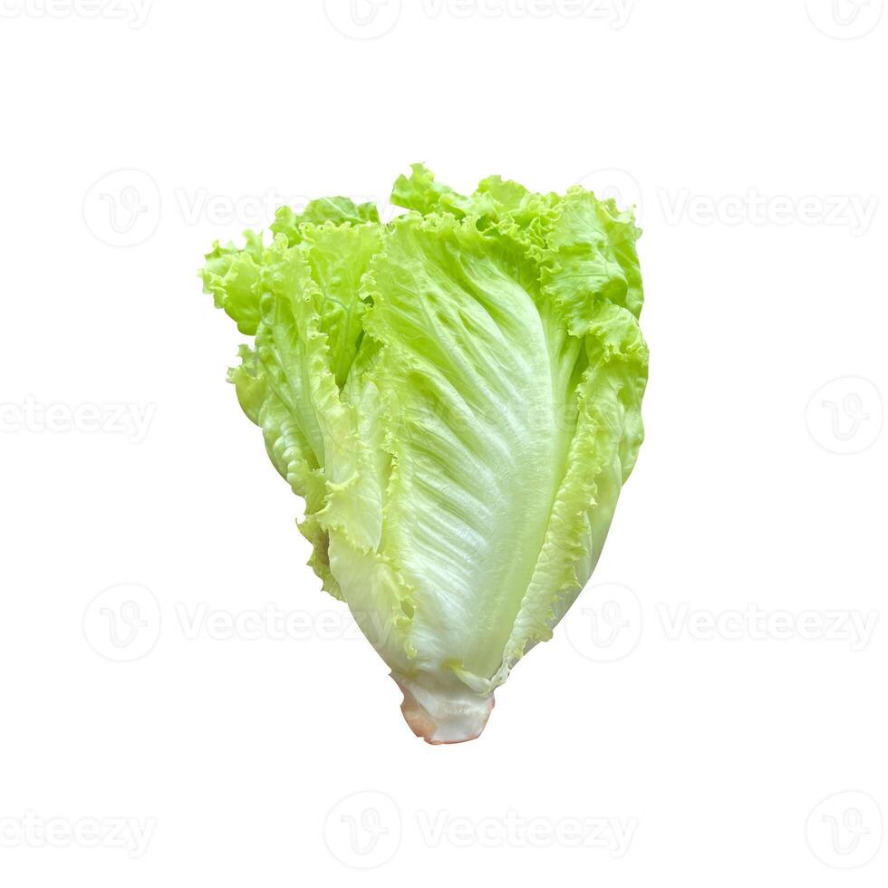 Green lettuce organic isolate. photo