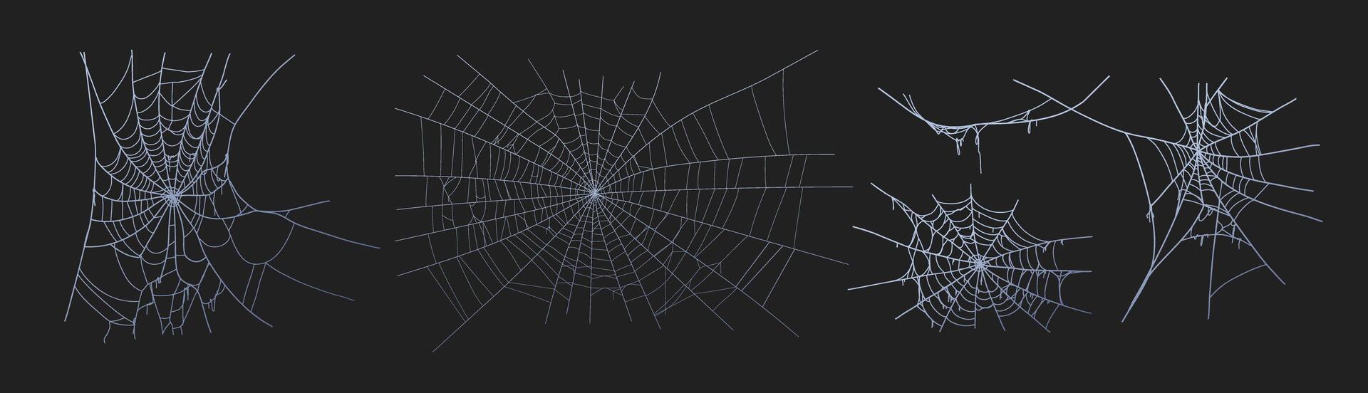 Spooky halloween old cobweb with various sizes and shapes. Old spider web illustration. vector