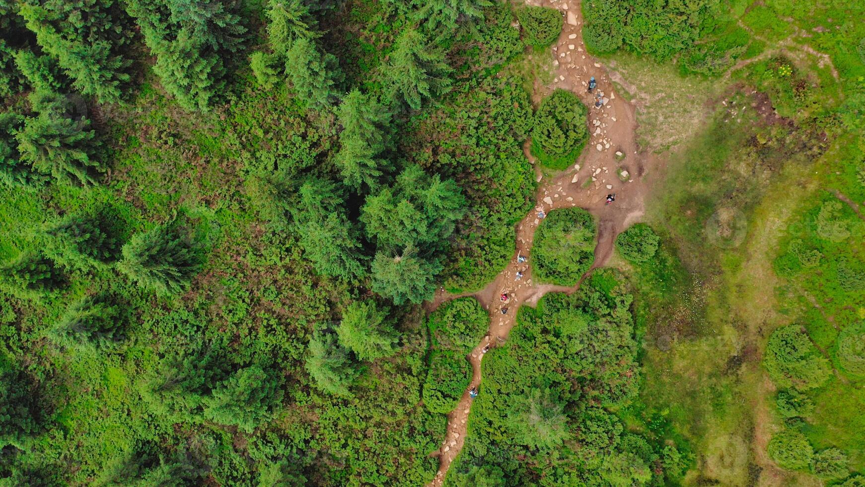 A top-down aerial view of a group of young hikers walking along a winding rocky forest path. photo
