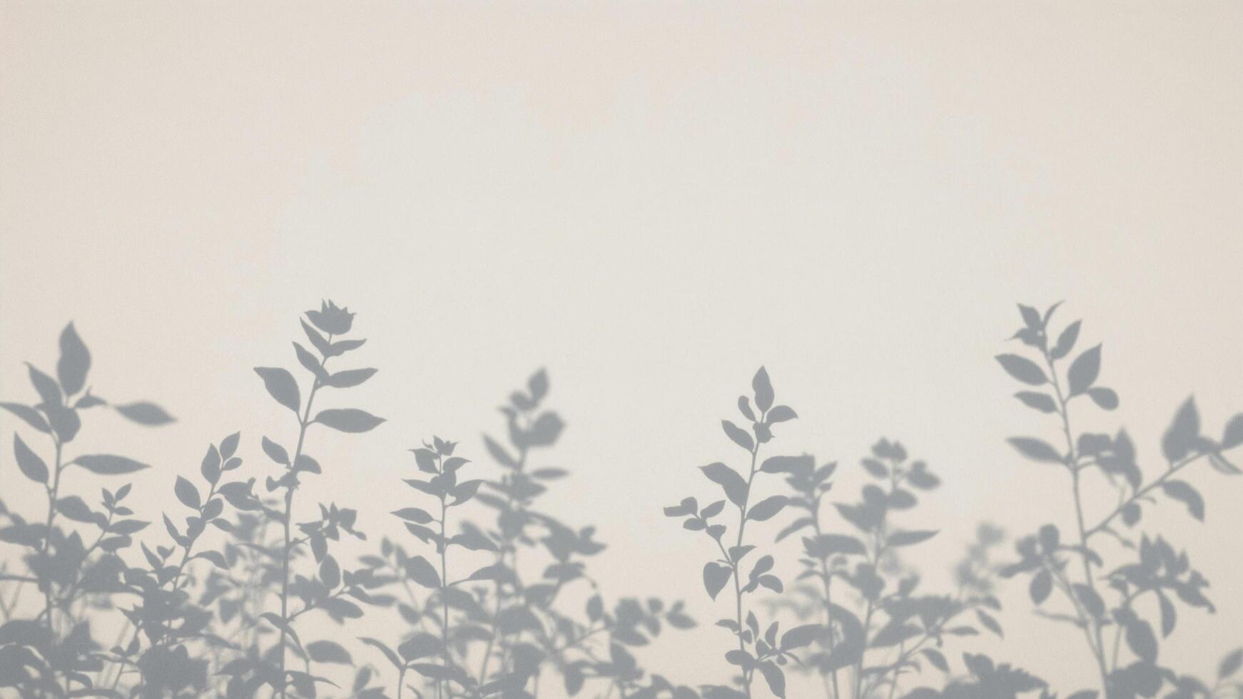 Shadows of leaves mint on light wall, elegant atmosphere, background for art projects, copy space photo
