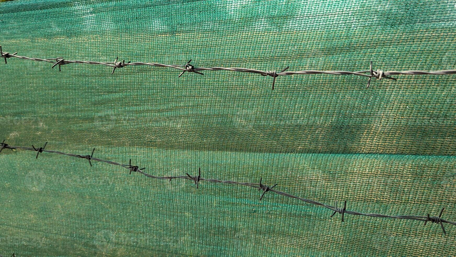 Durable Green Protective Netting Combined with Strong Barbed Wire for Enhanced Security photo
