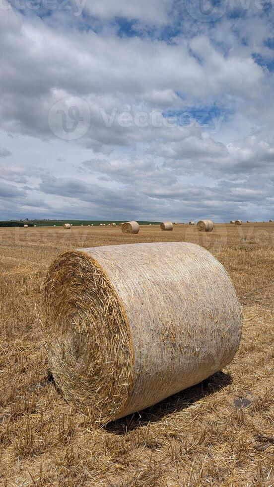 Rolling BarnFresh Hay Bales Gracefully Under a Beautiful Cloudy Sky That Inspires Peace photo