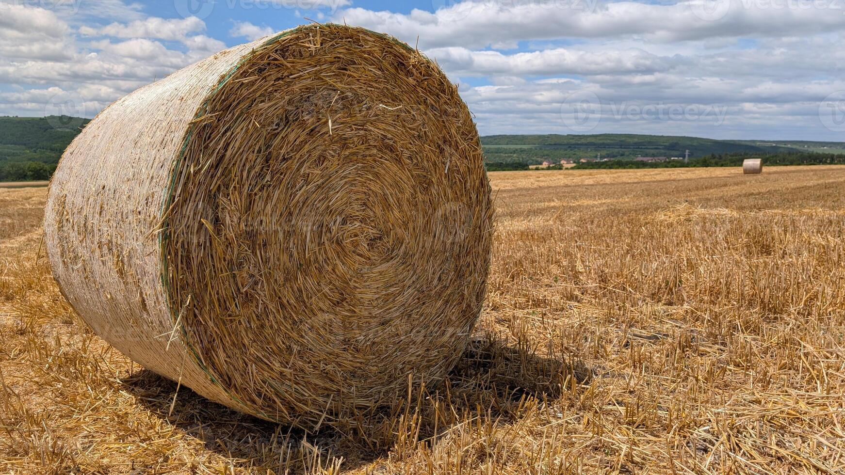 A picturesque scene featuring a scenic hay bale amidst a wide field under a clear blue sky photo