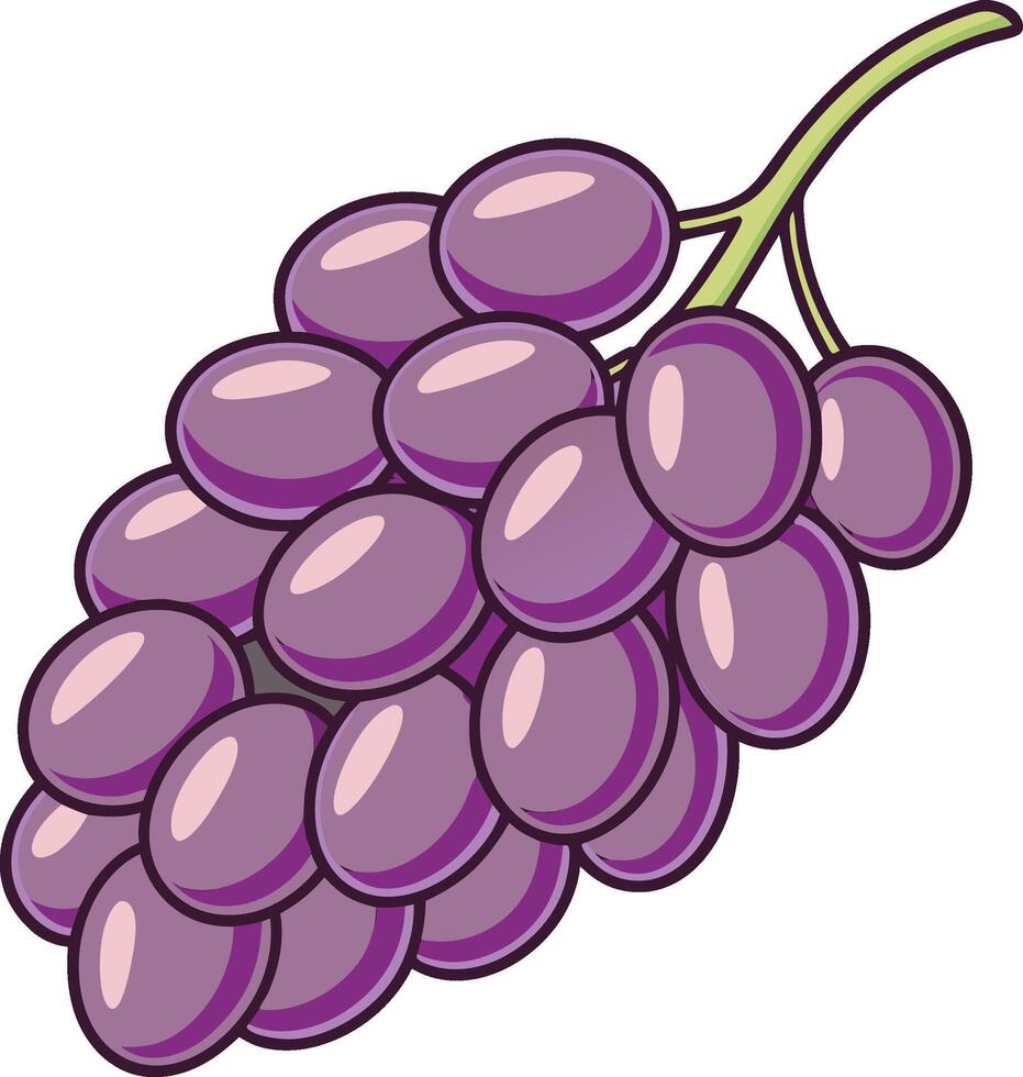 Colorful Grape Clipart for Educational Materials and Organic Product Branding vector