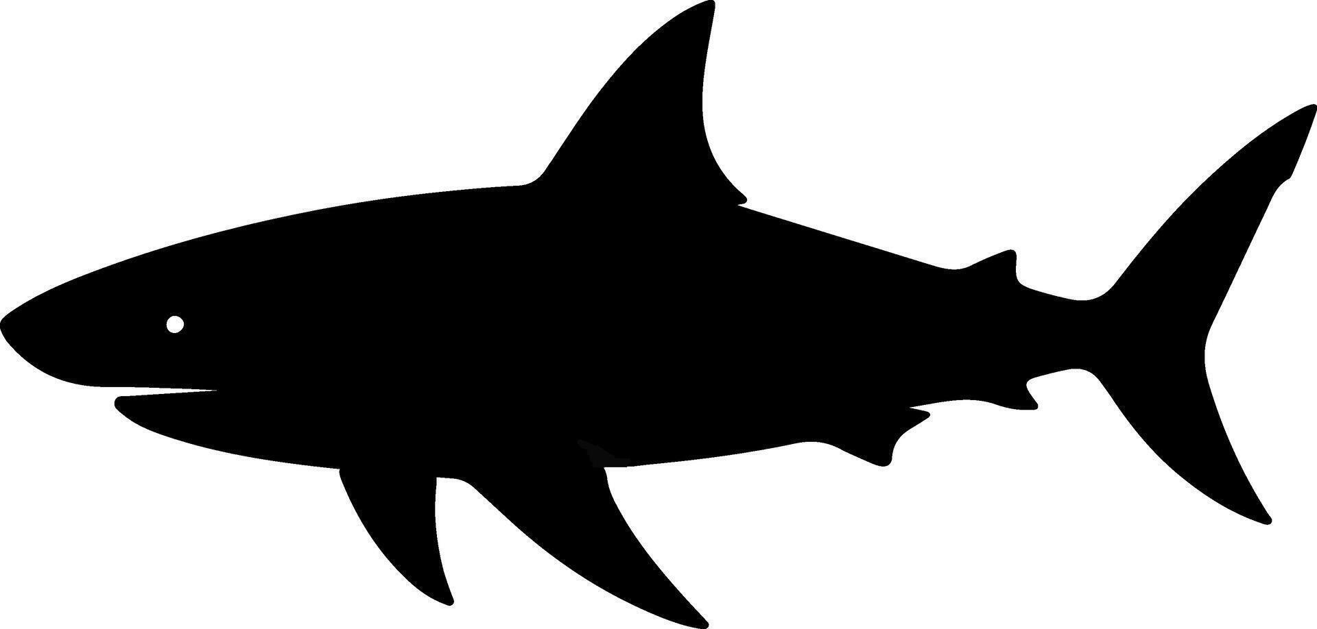 A stark black silhouette of a great white shark swimming with its fins and tail clearly defined against a white background vector
