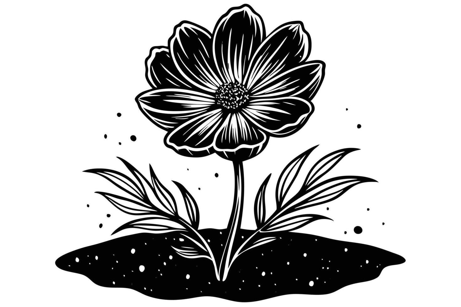 Elegant Black and White Cosmos Flower Blooming in Dark Soil, Mysterious and Serene Artistic Illustration vector