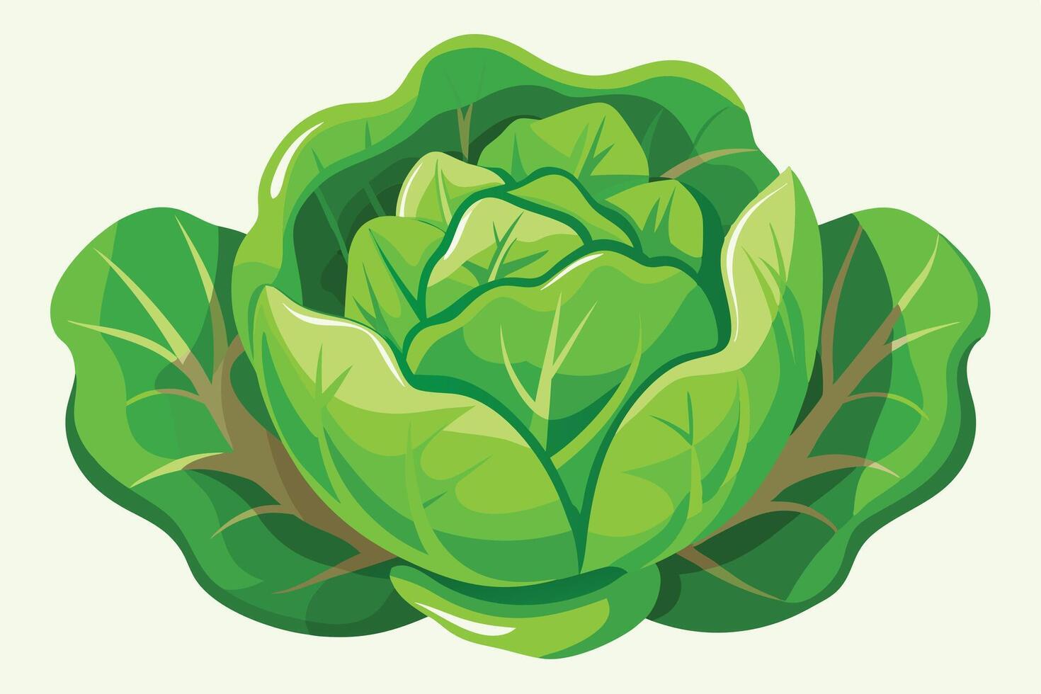 Fresh Green Cabbage, Vibrant Illustration of a Juicy Head of Cabbage, Healthy Vegetable, Garden Fresh Produce, Organic Food, Natures Goodness vector