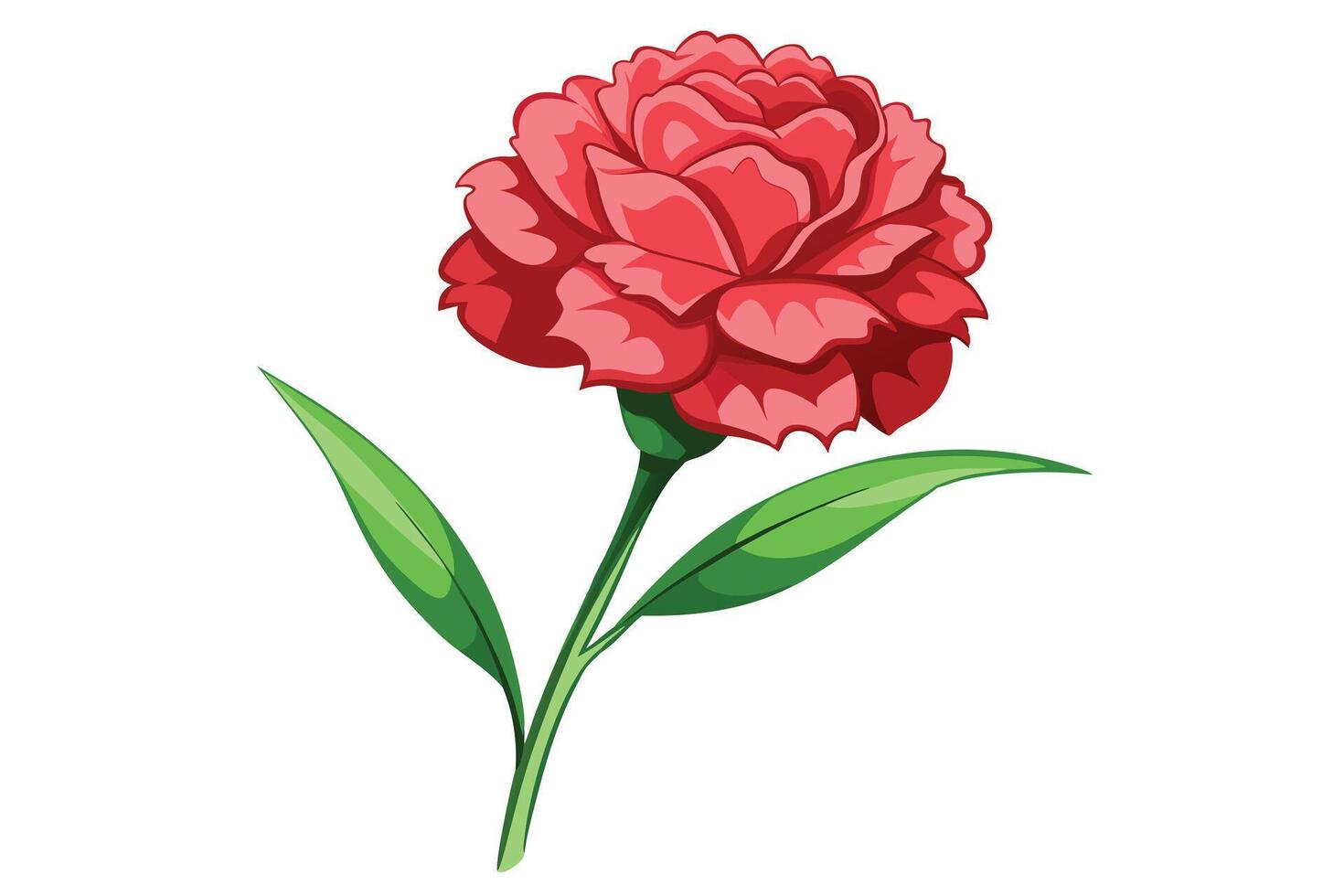 Single Elegant Red Carnation Flower Blooming in Serene White Background, Perfect for Mothers Day or Wedding Invitations vector