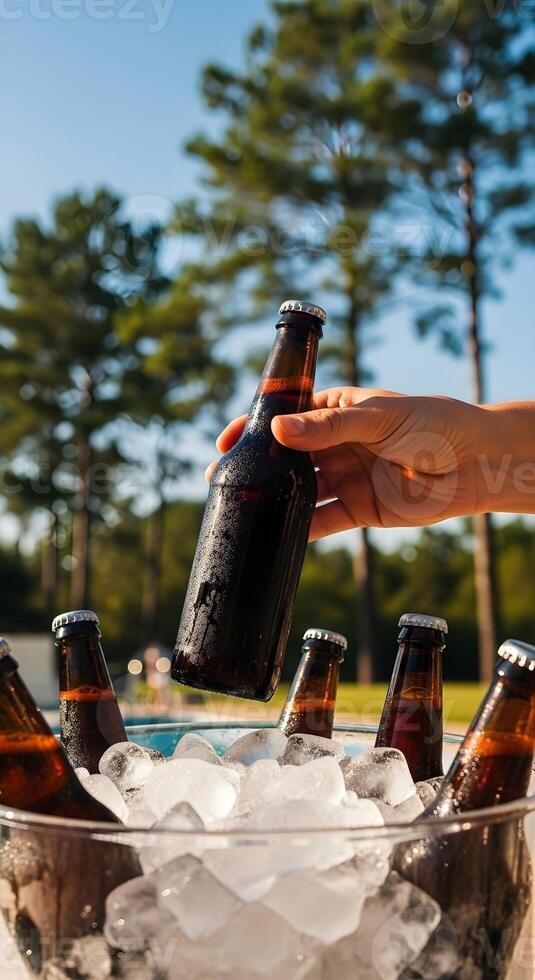 Bottles of dark beer in a bucket with ice on the background of a camp forest. Summer mockup vertical template for advertising beer brand, pool party, vacation and craft beer, International Beer Day photo