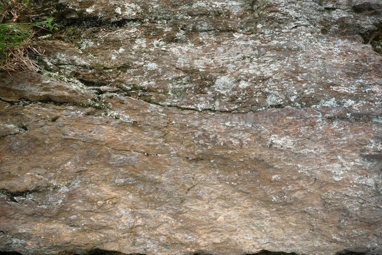 A detailed close up image of a rock featuring water flowing out of it photo