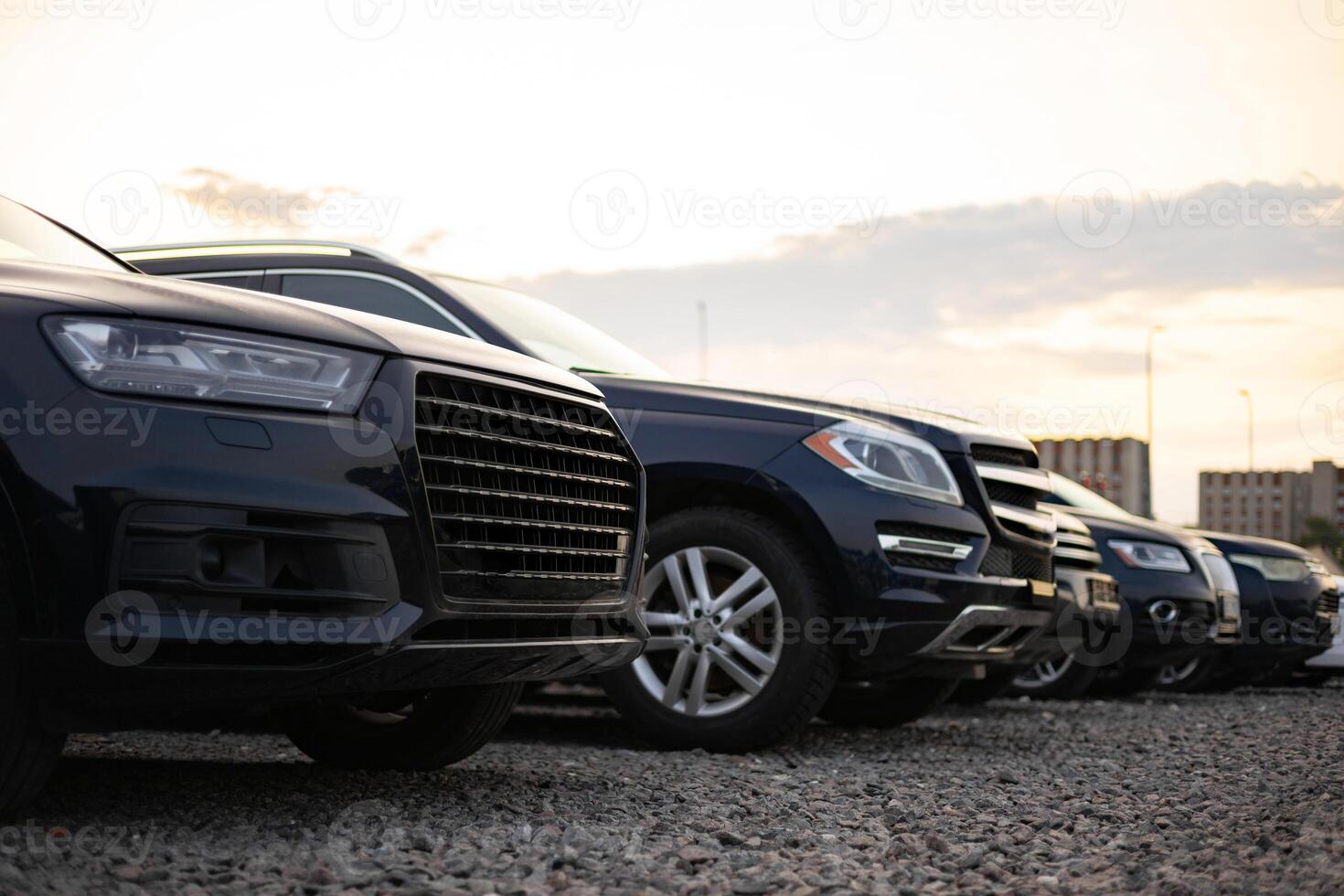 A row of dark-colored SUVs parked outside on a gravel lot. The cars are lined up, presenting a view of their front ends. photo