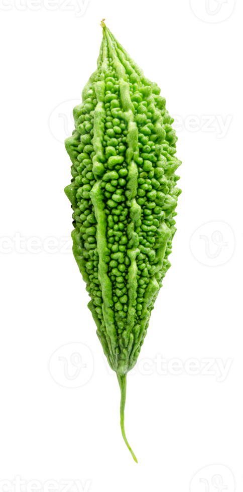 Green bitter gourd or bitter melon isolated with clipping path in file format png