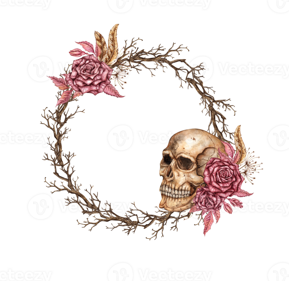 Skull with burgundy rose and dry branches, round frame. Watercolor illustration in Gothic style. Suitable for Halloween, Day of the Dead, decor, invitations, prints. Isolated from the background. png