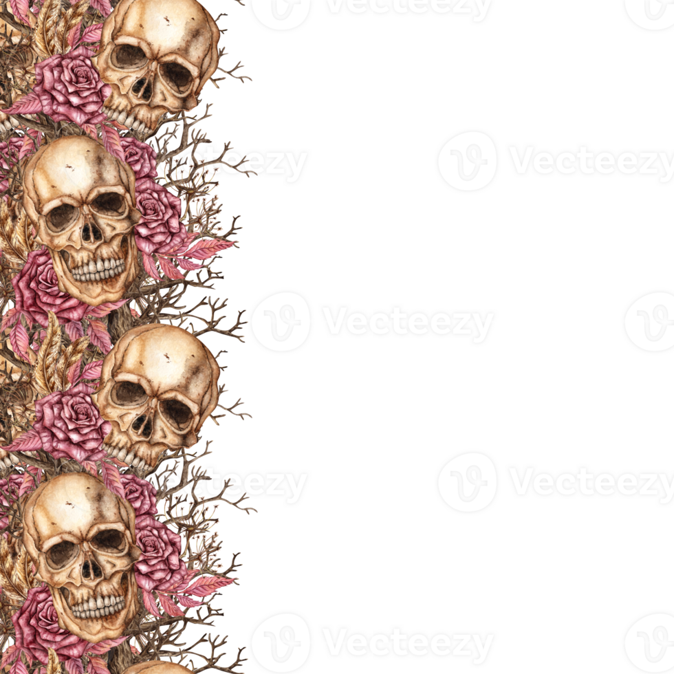 Frame of skulls, dry branches, burgundy roses, feathers and leaves, square with left border. Watercolor illustration in gothic style. Isolated. For Halloween and day of the dead. png