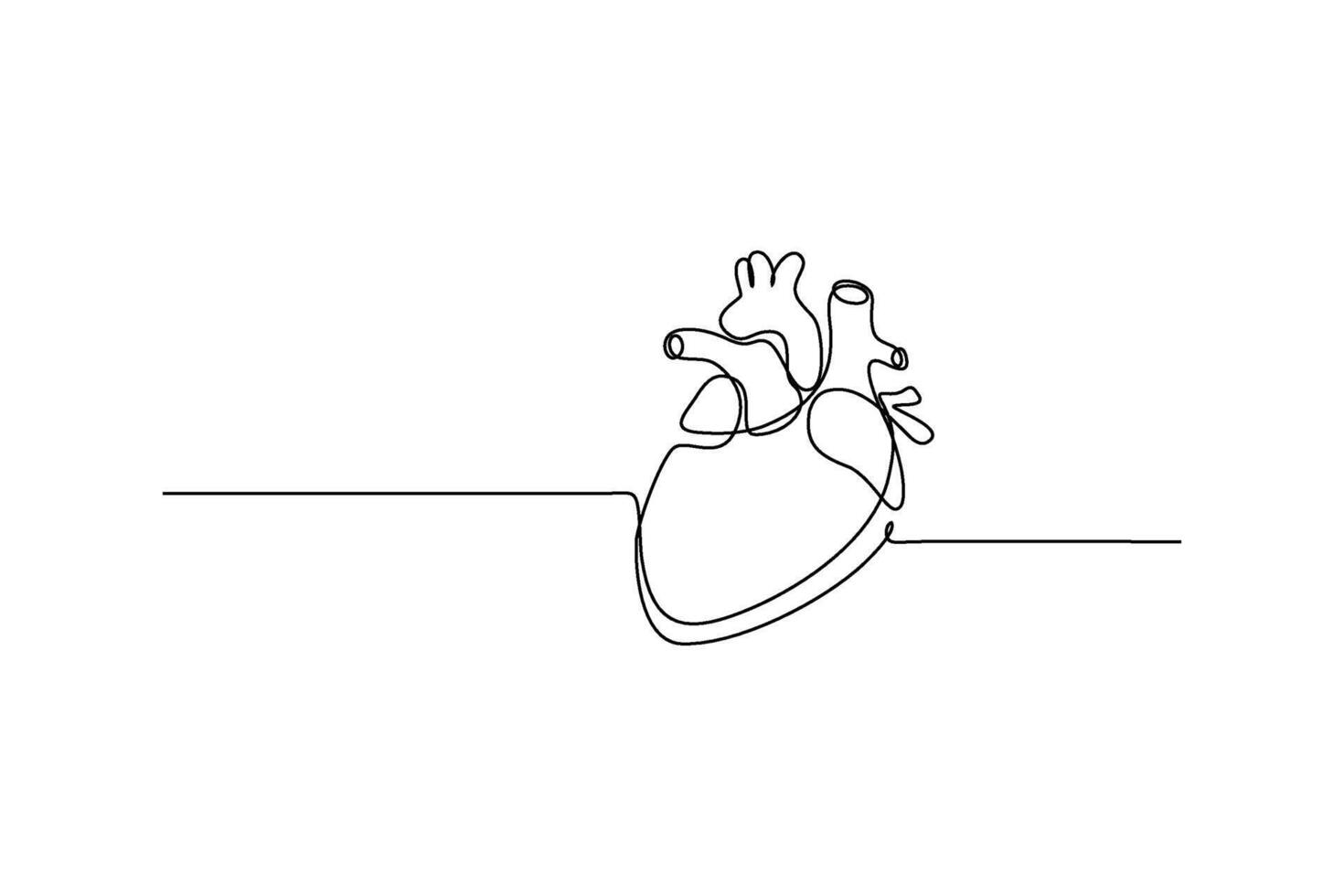 A minimalist line drawing illustrates a human heart, representing life, health, and anatomy vector