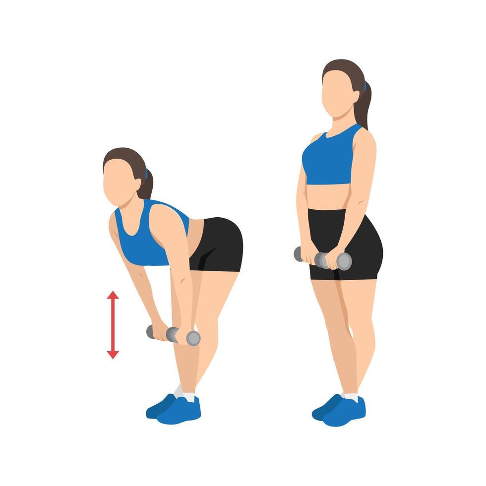 Woman demonstrating dumbbell deadlift exercises vector